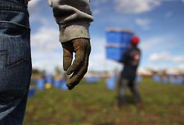 Sfruttava i lavoratori, commissariata azienda agricola di Cassibile
