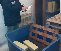 Sequestrati dai Nas a Godrano un caseificio abusivo e 300 kg di formaggi