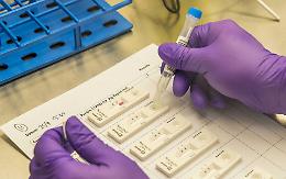 Coronavirus, da giugno in 4 regioni  incremento di casi tra l'80 e il 150%: e c'è la Sicilia