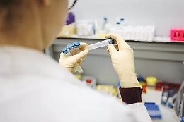 Tamponi rapidi a 15 euro, il Tar dice no e dà ragione ai laboratori d'analisi