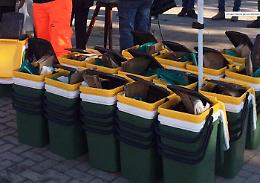 Catania, la raccolta rifiuti porta a porta arriva anche alla Civita