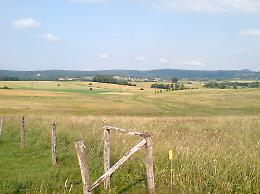 Mafia dei pascoli sui Nebrodi, processo per 104 persone