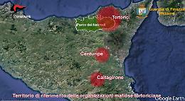 Così la mafia dei pascoli si è modernizzata ed è arrivata a “dialogare” con l'Ue