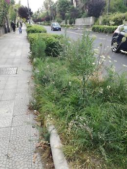 Catania: Viale Regina Margherita, il salotto catanese simbolo del degrado cittadino