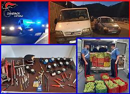 Avevano appena rubato quattro tonnellate
di uva ma arrivano i carabinieri: 6 arresti