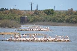 Taglio dei fondi e rischio chiusura per le Riserve naturali della Sicilia