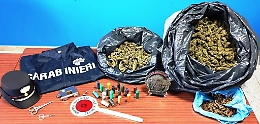 Gravina, in 2 fratelli pure di spaccio in un garage tenevano 6 kg di droga