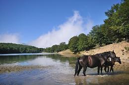 I Nebrodi e la proposta di un Geo-resort nella più grande area protetta della Sicilia