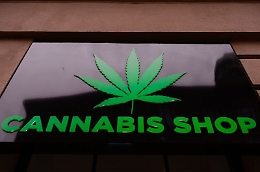 Marijuana, per la Cassazione è reato vendere prodotti derivati: a rischio i negozi di cannabis light