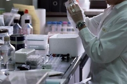 Cos'è la diossina e quando è pericolosa per l'uomo