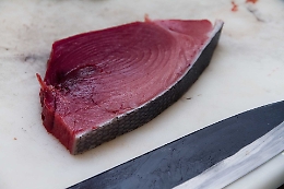 S. Vito lo Capo, mangia tonno al ristorante
e finisce all'ospedale per sindrome sgombroide