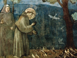 La giornata mondiale degli animali
nel giorno di San Francesco d'Assisi