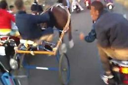 Corse clandestine di cavalli e combattimenti tra cani: Daspo e avvisi orali a Palermo