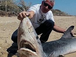 Squalo spiaggiato dopo combattimento nell'Agrigentino