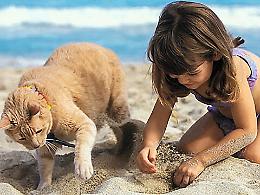 La famiglia in ferie con fido e micio: i consigli per ottime vacanze "bestiali"