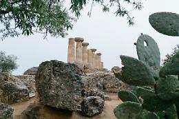 Campo: «Un marchio Dopo per i prodotti della Valle Valle dei Templi»