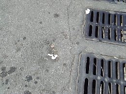 Giarre, pericoloso avvallamento sull'asfalto in viale Libertà