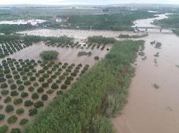 Maltempo, l'urlo di Confagricoltura:
"I campi siciliani colpiti da tsunami"