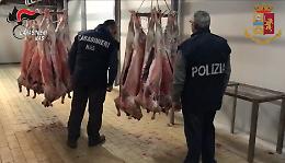 Mattatoio del Catanese macellava ovini di provenienza sconosciuta