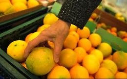 L'Italia fa affari con la Cina: a febbraio le arance siciliane in volo verso Pechino