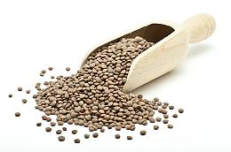 Non solo mare, fra i tesori di Ustica anche la lenticchia