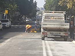 Brt, Pogliese: «Per viale V. Veneto progetto frettoloso. Ma traffico va snellito»