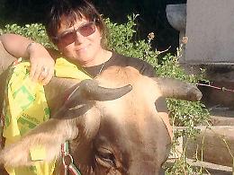 A Collesano una "cowgirl" multitasking che vive tra vacche, formaggi, turismo e didattica