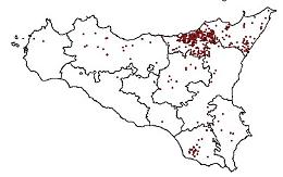 Brucellosi, la metà dei capi infetti si trova nel Messinese