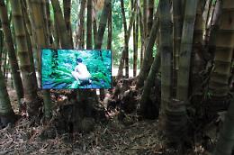 Sesso con piante in video pubblico: furia-social per "arte" a Palermo