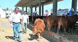 Ragusa, a rischio la Fiera agroalimentare mediterranea: «C’è un silenzio assordante»