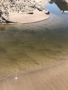 Catania, alla Plaia sventola "bandiera rossa" per sversamenti sospetti