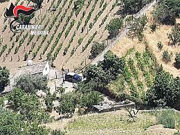 Pastore perde orientamento nella Valle dell'Alcantara: ritrovato e soccorso