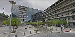 Giovane centauro investe un cinghiale e finisce in ospedale