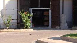 Emergenza bare a Palermo, Orlando: "Forno crematorio sar&agrave; riavviato tra sei mesi"