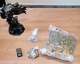 Giovane spaccia in casa della zia che lo denuncia e lo fa arrestare