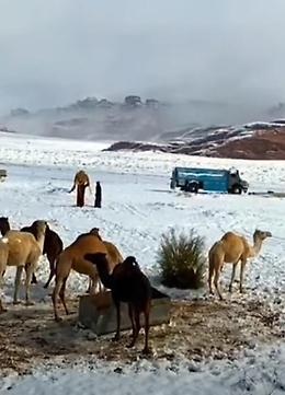 Eccezionale nevicata in Arabia Saudita: video virali sui social
