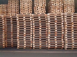 Nel 2021 torna a crescere il riciclo del legno