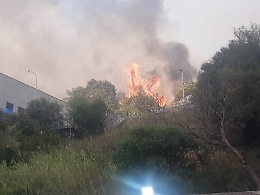 Incendio sulla Panoramica lambisce l'impianto selezione di Pace