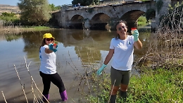 Goletta dei Laghi promuove la Sicilia: campioni nei limiti ma nessuna valorizzazione