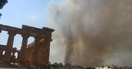 Fiamme nel Parco di Selinunte, i pompieri sono impegnati, il custode eroe le spegne con gli estintori