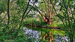 Emanata in Sicilia direttiva per pulizia e manutenzione degli alvei dei corsi d'acqua