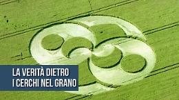 La verit&agrave; dietro i cerchi nel grano (e gli alieni non c'entrano)