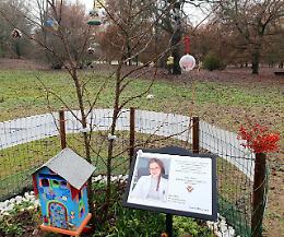 Sara Pedri: per Natale il suo albero "si veste a festa"