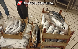 Tonno pescato illegalmente gi&agrave; caricato in auto ad Aci Trezza: multa di 34mila euro