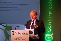 Plusvalenze:Cobolli Gigli,alla Juve mancata persona come Marotta