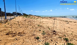 San Leone, torna il verde dove c'è stato lo sbancamento abusivo