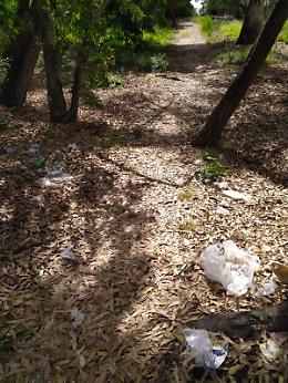 Marina di Cottone: «L'unica cosa che funziona sono gli stalli a pagamento!»