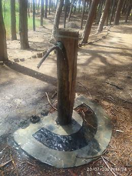  Siccità e dispersione d'acqua al boschetto della Plaia