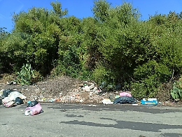 Bonifiche e sentinelle: il Comune spende quasi 2 milioni per combattere l'abbandono dei rifiuti