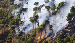 Sicilia maglia nera degli incendi con 49mila ettari bruciati: il catasto strumento di prevenzione